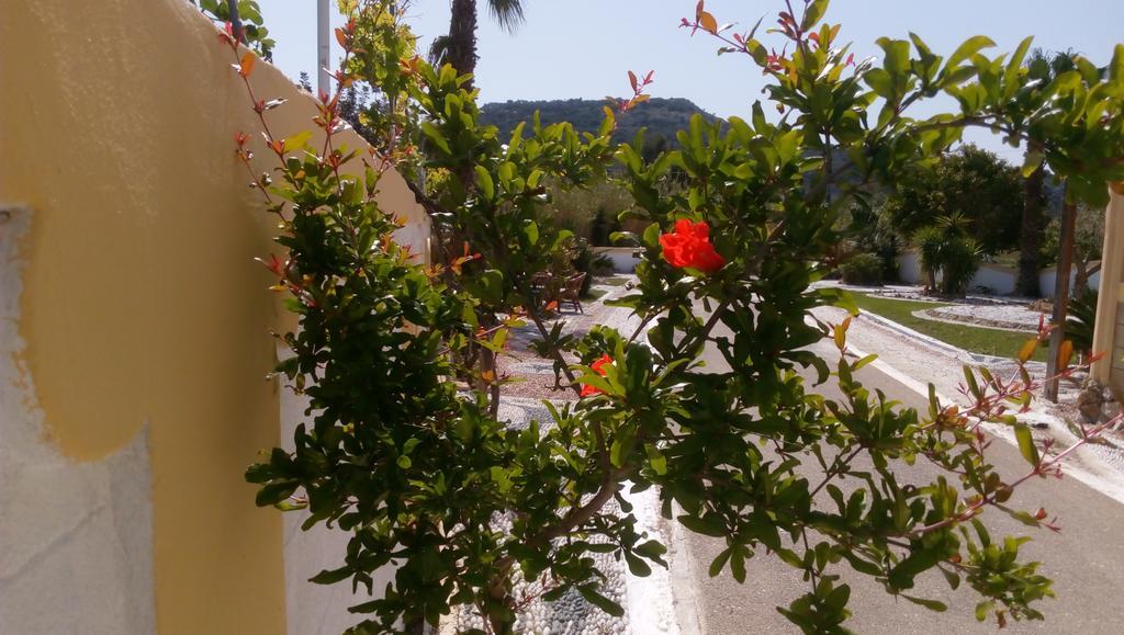 Mosaic Gardens Faliraki Exterior foto