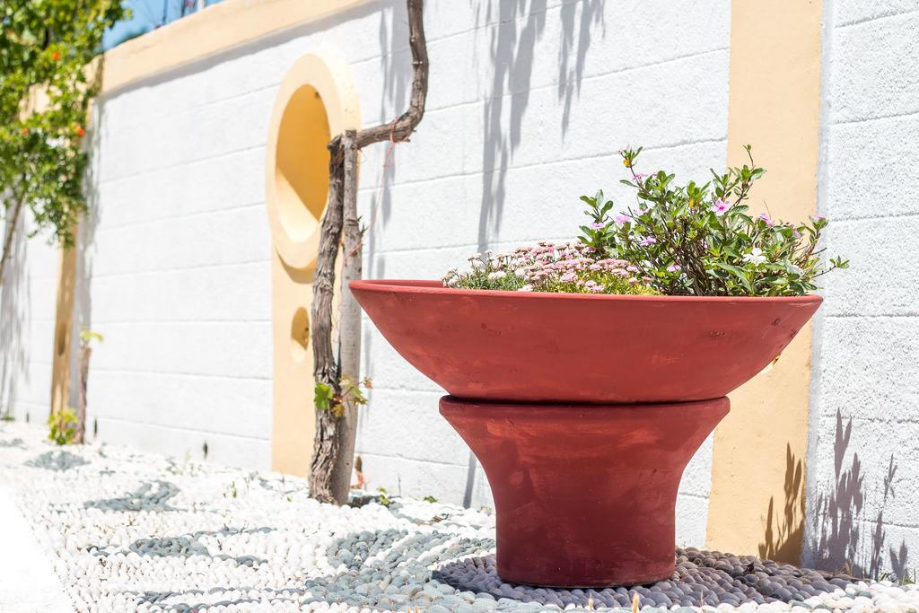 Mosaic Gardens Faliraki Exterior foto